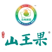 贵州山王果集团